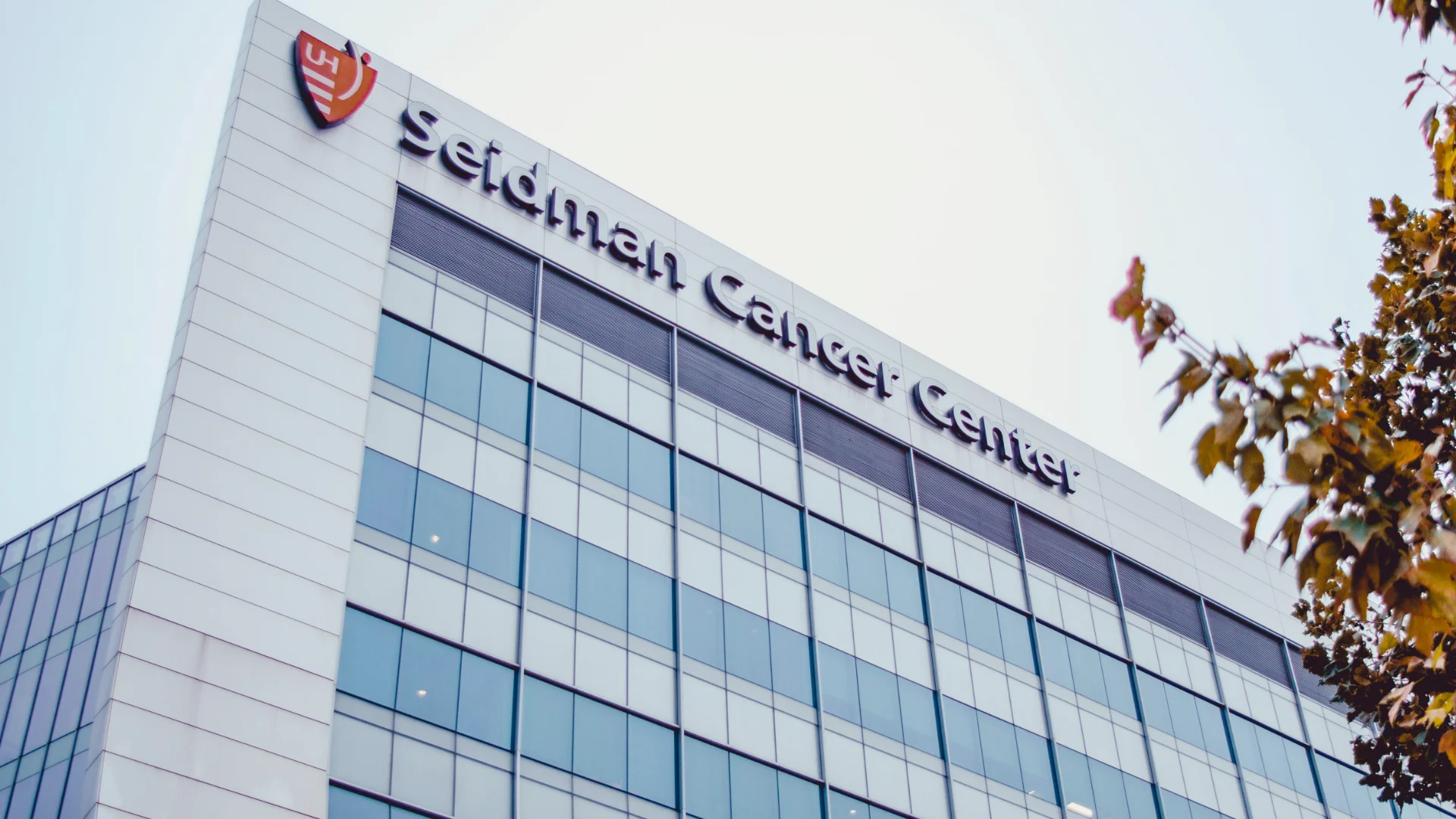 THE FALDENT GRP Healthcare Services